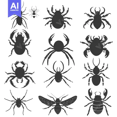 Silhouettes of Various Arachnids and Insects