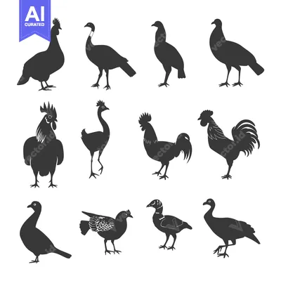 Silhouettes of Various Bird Species