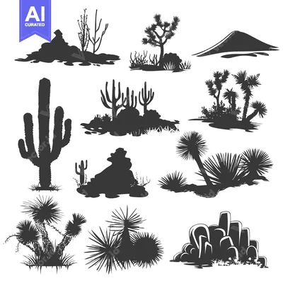 Silhouettes of Various Desert Plants and Landscape Features