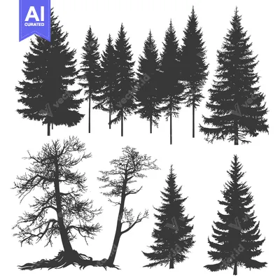 Popular premium asset: Silhouettes of Various Evergreen and Deciduous Trees