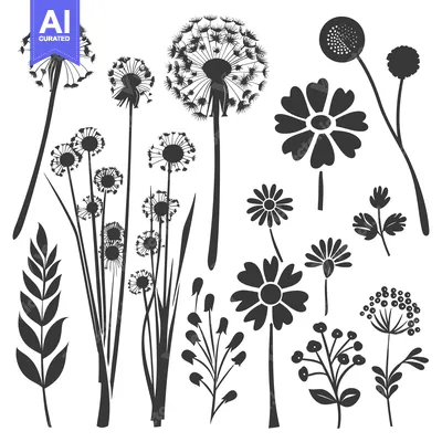 Premium design asset: Silhouettes of Various Flowers and Plants