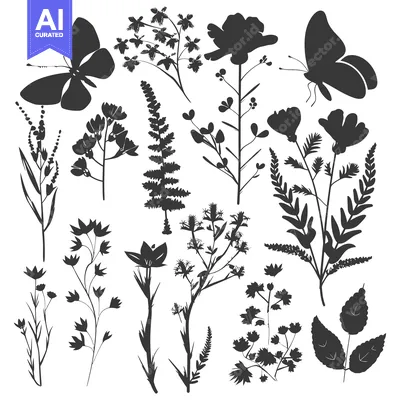 Popular premium asset: Silhouettes of Various Flowers, Leaves, and Butterflies