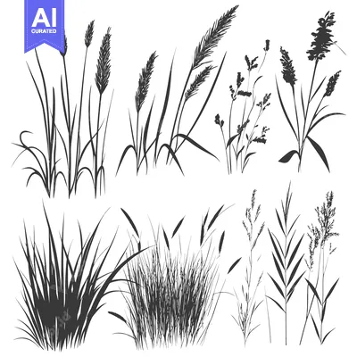 Silhouettes of Various Grass and Wildflower Species