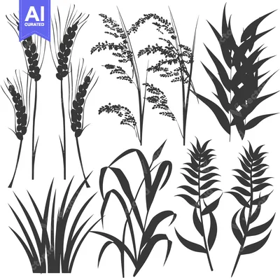 Aset desain premium: Silhouettes of Various Grasses and Plants