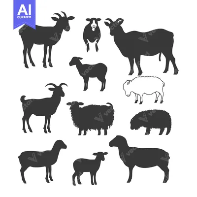 Silhouettes of Various Sheep and Goats in Different Poses