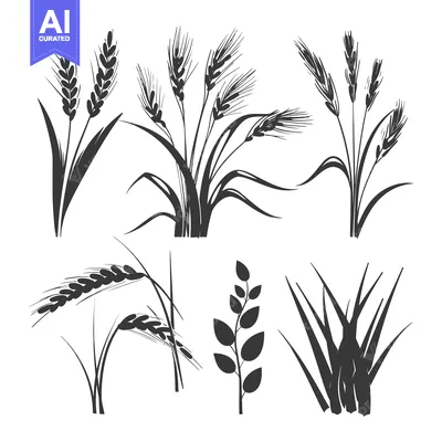 Aset desain premium: Silhouettes of Various Wheat and Grass Plants