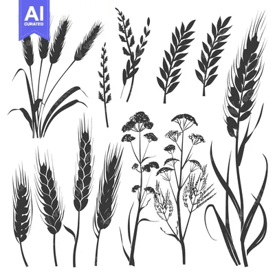 Aset premium populer: Silhouettes of Wheat, Grass, and Flowers