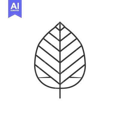 Popular premium asset: Simple Line Drawing of a Leaf with Veins