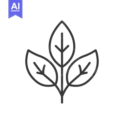 Simple Line Drawing of Three Leaves on a Stem