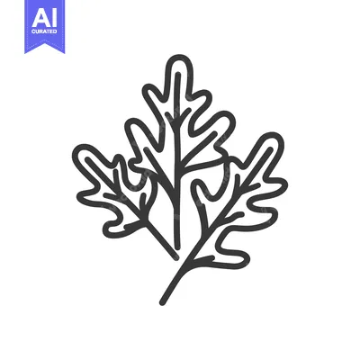 Premium design asset: Simple Line Drawing of Three Oak Leaves