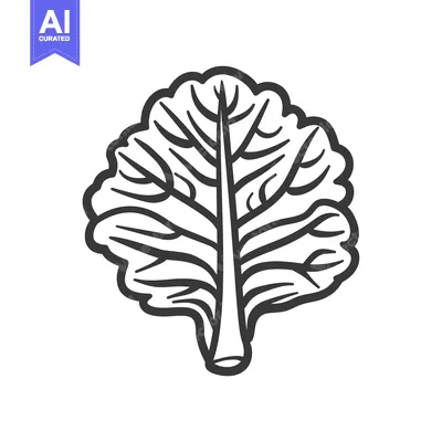 Single Black and White Line Drawing of a Leaf