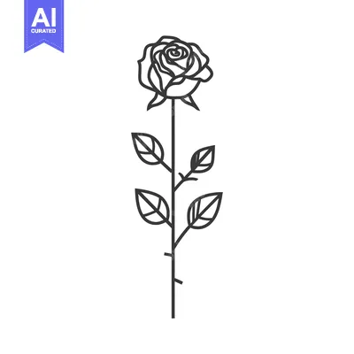 Aset premium populer: Single Black Line Art Illustration of a Rose
