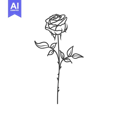 Aset desain premium: Single Black Line Drawing of a Rose