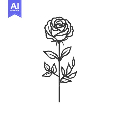 Popular premium asset: Single Black Line Drawing of a Rose