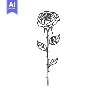 Popular premium asset: Single Black Line Drawing of a Rose with Stem and Leaves