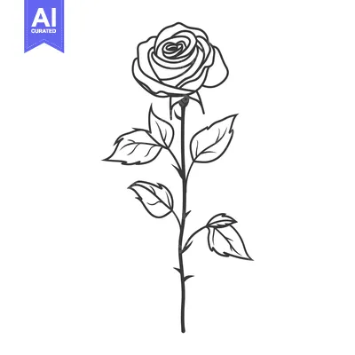 Aset premium populer: Single Black Outline of a Rose with Leaves and Stem