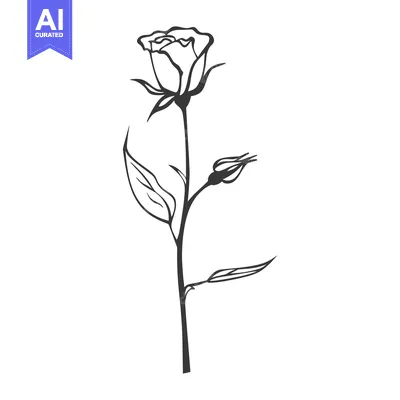 Aset premium populer: Single Black Outline Rose with Bud and Stem