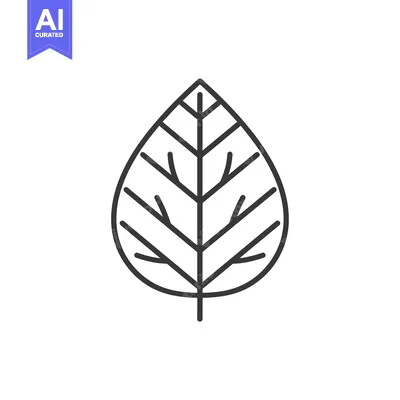 Popular premium asset: Single, Detailed, Black and White Leaf Line Drawing