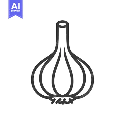 Single Garlic Bulb with Roots Outline Icon