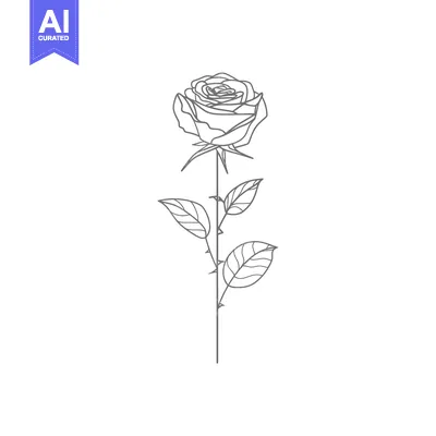 Aset premium populer: Single Gray Line Drawing of a Rose with Leaves and Thorns