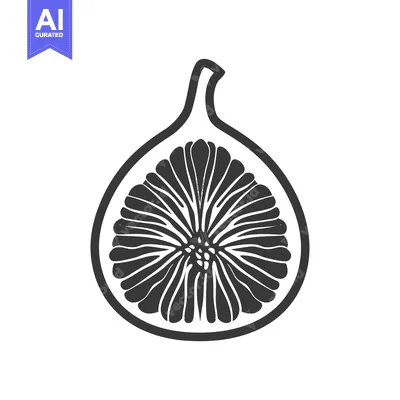 A Black and White Illustration of a Cut Open Fig