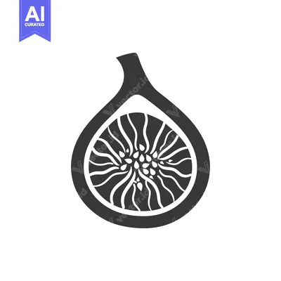 A black and white illustration of a halved fig