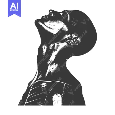 A Black and White Illustration of a Human Figure with Visible Muscles