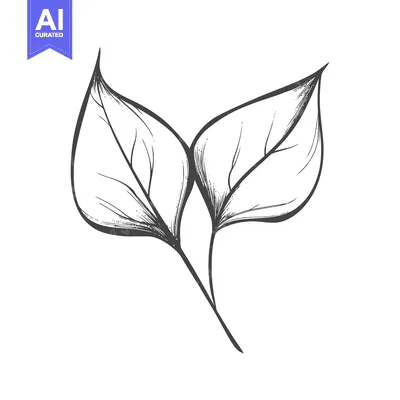 Aset premium populer: Hand-Drawn Monochrome Botanical Illustration of Two Delicate Leaves on