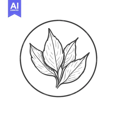 Aset premium populer: Hand-Drawn Botanical Sketch of Fresh Leaves in Circular Frame for Natu