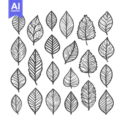Aset desain premium: Diverse Hand-Drawn Black Outline Leaves Collection on White, Organic B
