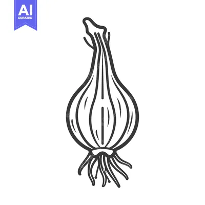 Aset premium populer: Single Onion Bulb with Roots and Stem