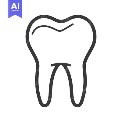 Popular premium asset: Single Tooth Outline Icon Illustration
