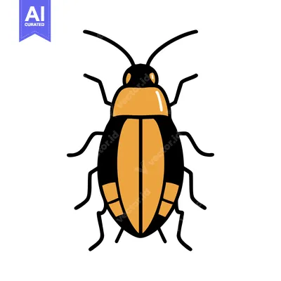 Boldly Outlined Orange and Black Beetle Illustration, Symmetrical Desi
