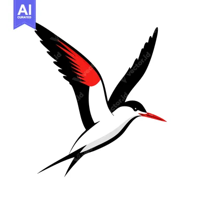 Dynamic Soaring Tern with Striking Red and Black Wing Markings