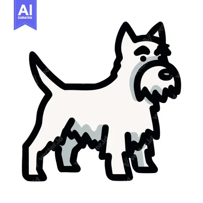 Popular premium asset: Simple Line Art Illustration of a Scottish Terrier