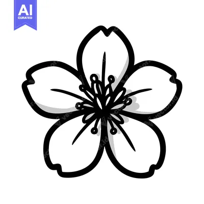 Boldly Outlined Cherry Blossom Illustration with a Simple Grey Drop Sh