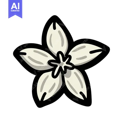 Stylized Creamy Vanilla Flower with Bold Graphic Outline