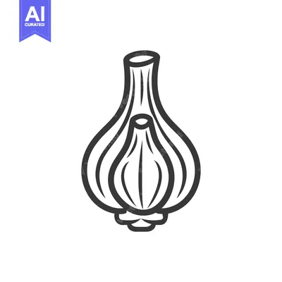 Single Whole Garlic Bulb Line Art Illustration