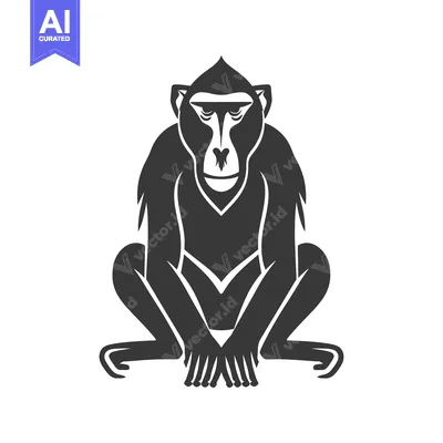Aset premium populer: Sitting Black and White Illustration of a Baboon