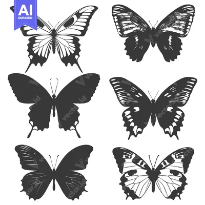 Six Black and White Butterfly Silhouettes