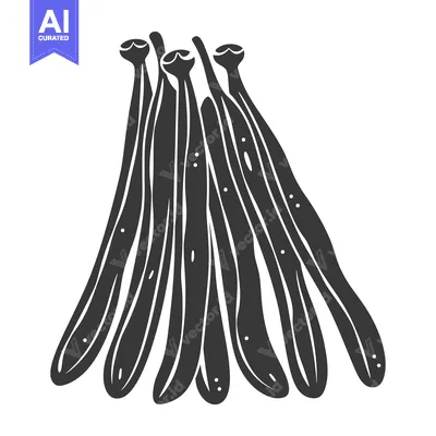 Six Black and White Pods of Vanilla Beans