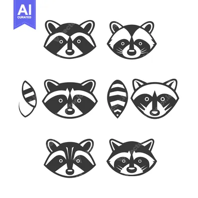 Aset premium populer: Six Black and White Raccoon Head Variations with a Striped Tail