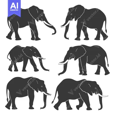 Six Black Silhouettes of Elephants in Different Poses
