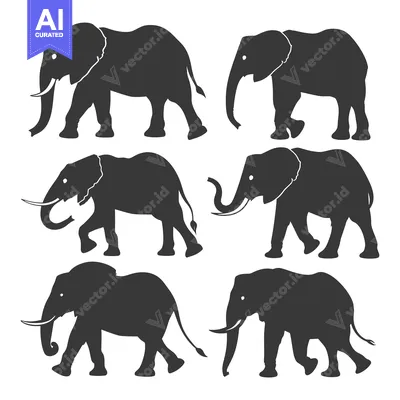 Six Black Silhouettes of Elephants Walking in Different Directions
