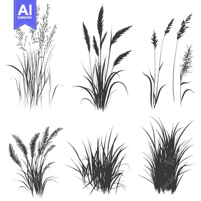 Six Silhouettes of Different Types of Grass