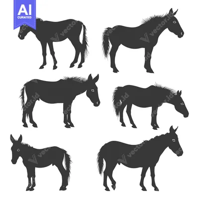 Popular premium asset: Six Silhouettes of Donkeys in Various Poses