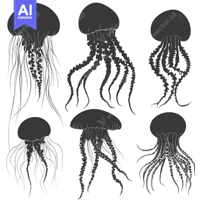 Six Silhouettes of Jellyfish with Different Tentacle Shapes