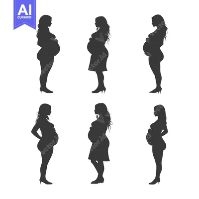 Aset desain premium: Six Silhouettes of Pregnant Women in Different Stages