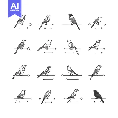 Sixteen Bird Illustrations in Black and White, Perched on Branches