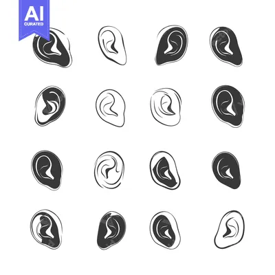 Sixteen Black and White Hand-Drawn Ear Illustrations